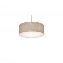 AFX Lighting, Inc. ANP1214LAJUDBK-JT - Anton 12'' LED Pendant - BK and JT