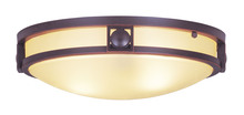 Livex Lighting 4487-67 - 2 Light Olde Bronze Ceiling Mount