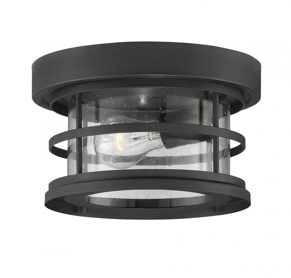 Barrett 1-Light Outdoor Ceiling Light in Black