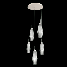 Hammerton CHB0049-05-BS-RS-C01-L3 - Aalto Round 5pc Multi-Pendant