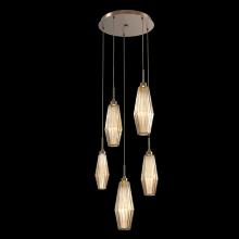 Hammerton CHB0049-05-FB-RB-C01-L3 - Aalto Round 5pc Multi-Pendant