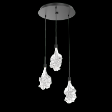 Hammerton CHB0059-05-BB-BC-C01-L1 - Blossom Round 5pc Multi-Pendant