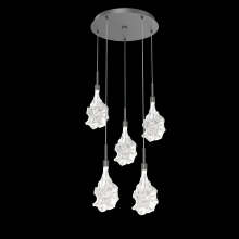 Hammerton CHB0059-05-GP-BC-C01-L3 - Blossom Round 5pc Multi-Pendant