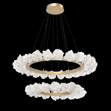 Hammerton CHB0059-2B-CS-BC-CA1-L1 - Blossom Two-Tier Ring