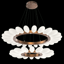 Hammerton CHB0071-2T-BB-WL-CA1-L3 - Fiori Two-Tier Radial Ring