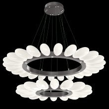 Hammerton CHB0071-2T-GP-WL-CA1-L3 - Fiori Two-Tier Radial Ring