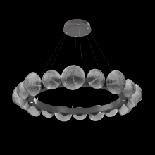 Hammerton CHB0089-48-GP-S-CA1-L1 - Mesa Radial Ring - 48-Inch