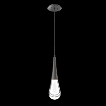 Hammerton LAB0078-01-GP-C-C01-L3 - Raindrop Pendant