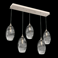 Hammerton PLB0035-05-BS-OS-C01-E2 - Ellisse Linear 5pc Multi-Pendant