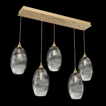 Hammerton PLB0035-05-GB-OS-C01-E2 - Ellisse Linear 5pc Multi-Pendant