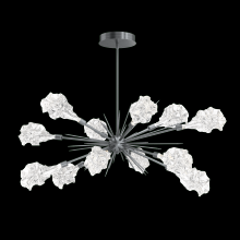 Hammerton PLB0059-0A-GM-BC-001-L3 - Blossom Oval Starburst - 0A 30"