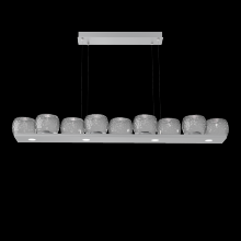 Hammerton PLB0091-0C-CS-S-CA1-L1 - Vessel Linear - 59-Inch