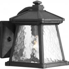 Progress P5906-31 - Mac Collection One-Light Small Wall Lantern