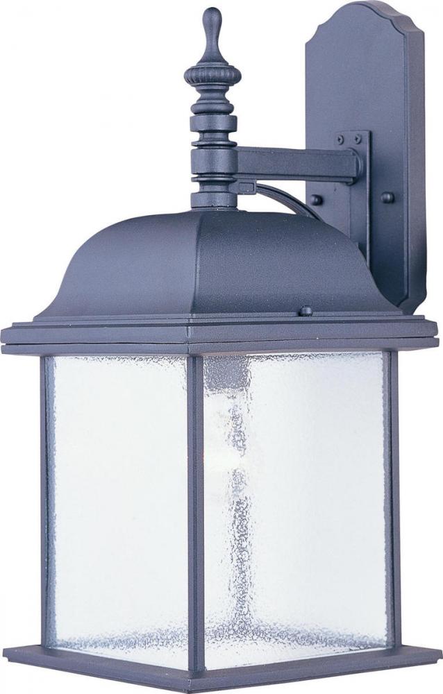 Senator 1-Light Outdoor Wall Lantern