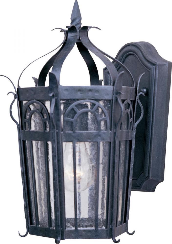 Cathedral 1-Light Outdoor Wall Lantern