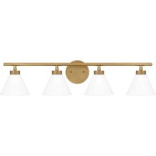 Quoizel IRA8631WS - Quoizel Lighting