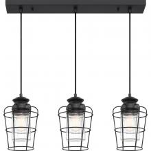 Quoizel OLN329EK - Olson Island Chandelier