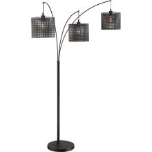 Quoizel Q2606F - Stargaze Floor Lamp