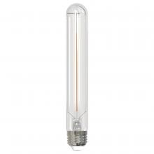 Bulbrite 776949 - LED3T9/30K/7/FIL/4