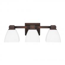 Capital 8513BB-216 - 3 Light Vanity Fixture