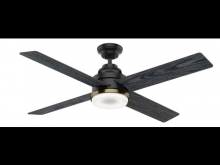 Casablanca Fan Company 59414 - Daphne with LED Light 54 inch