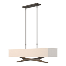 Hubbardton Forge 137655-SKT-STND-14-SE4298 - Moreau Pendant