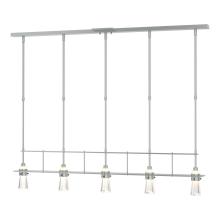 Hubbardton Forge 137725-SKT-STND-82-ZM0343 - Erlenmeyer 5 Light Pendant