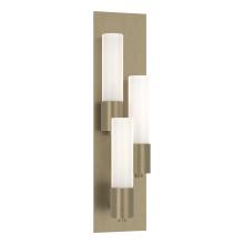 Hubbardton Forge 204423-SKT-RGT-84-GG0392 - Pillar 3 Light Sconce