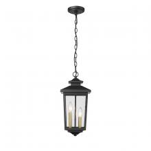 Millennium 4643-PBK - Outdoor Hanging Lantern