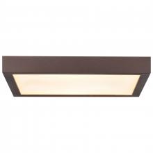 Access 20076LEDD-BRZ/ACR - Outdoor LED Flush Mount