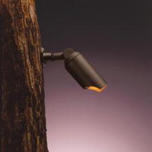 Outdoor Directional Lights