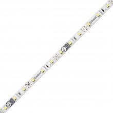 Diode Led DI-12V-FV42-8016 - FLUID VIEW LED Tape Light - 12V, 4200K, 80 CRI, 16.4 ft.