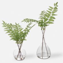 Uttermost 60202 - Uttermost Country Ferns, S/2