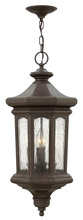 Hinkley 1602OZ-LL - Large Hanging Lantern