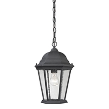 ELK Home 8101EH/65 - Thomas - Temple Hill 10'' Wide 1-Light Outdoor Pendant - Matte Textured Black